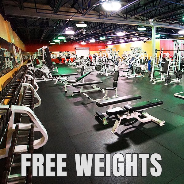 Best Free Weight Gym in Palm Beach Gardens